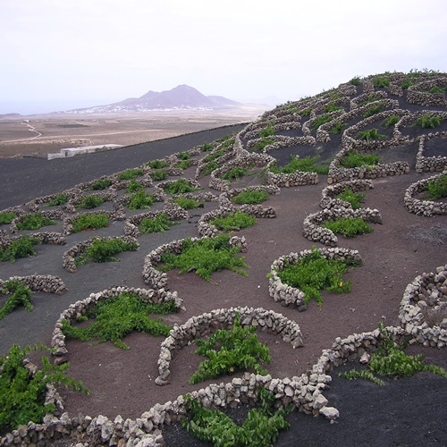 Five tips for your holidays in Fuerteventura, all included
