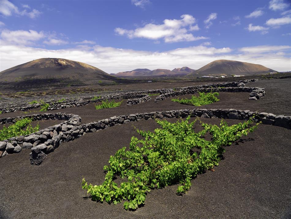 A day in Lanzarote in your holidays in Fuerteventura